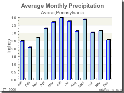 Average Rainfall for Avoca, Pennsylvania